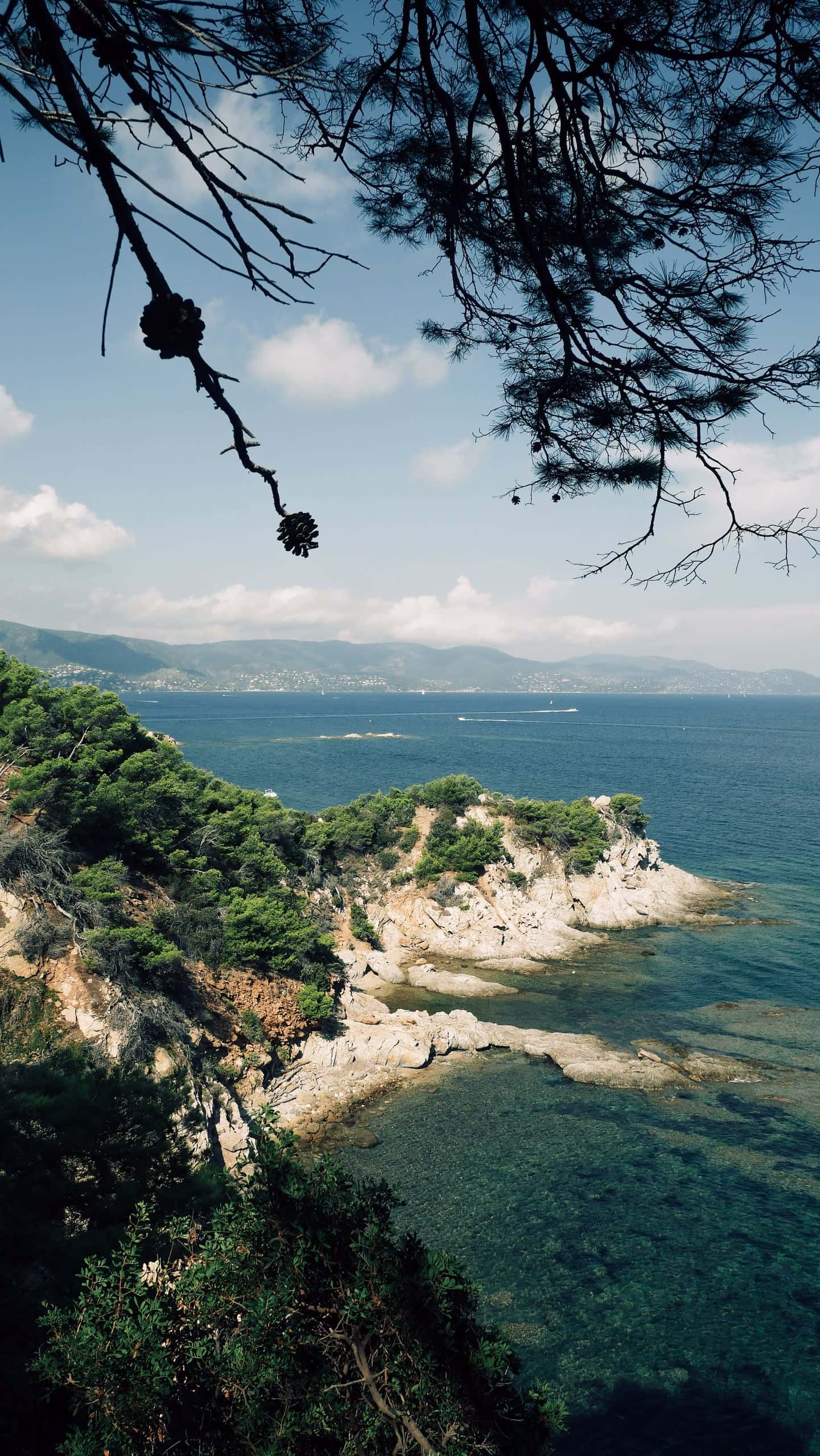 Côte varoise vue des pins, criques et mer